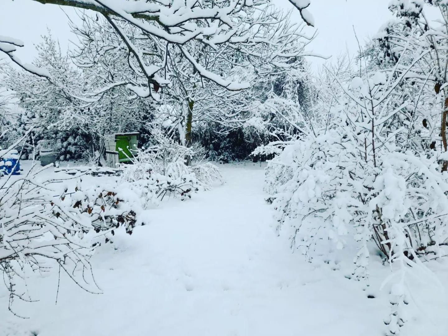 Agroturystyka "Dobre Czasy" Casa de hóspedes Sławno Exterior foto