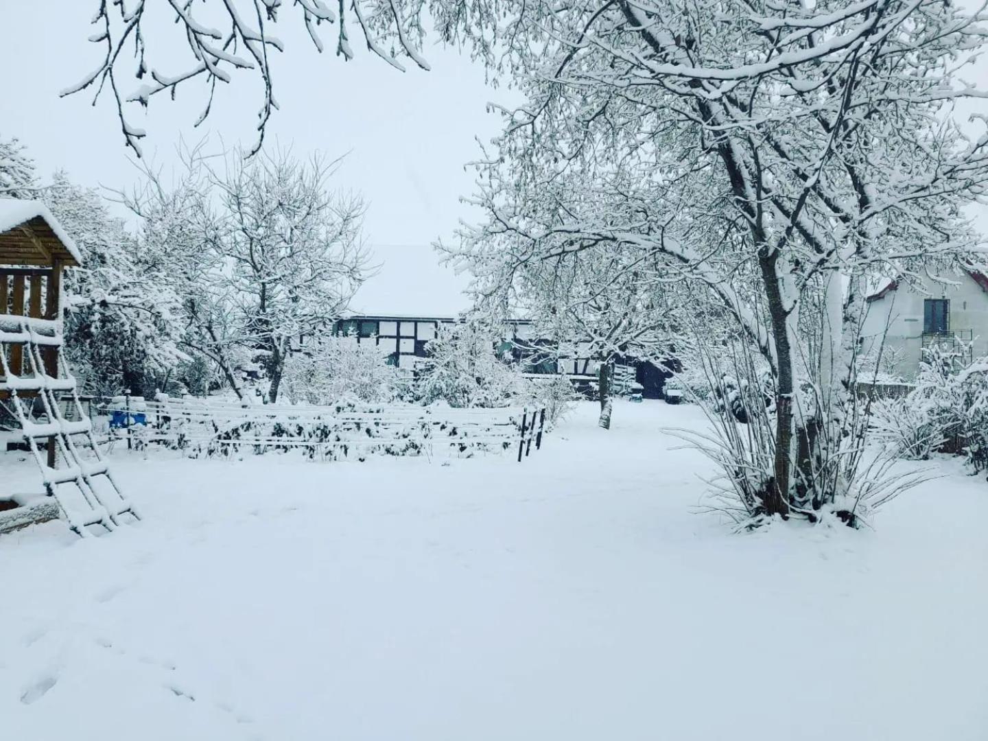 Agroturystyka "Dobre Czasy" Casa de hóspedes Sławno Exterior foto